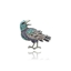 Bild von Broszka BR98539