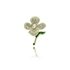 Picture of Broszka BR98069