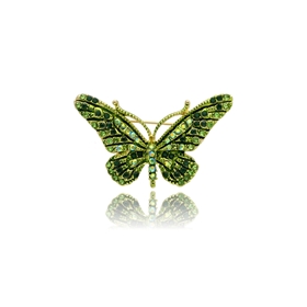 Picture of Broszka BR97489