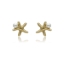 Picture of Kolczyki OCEAN LIFE E96307