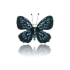 Image sur Broszka BR96319