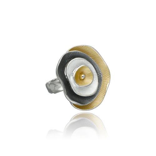 Image sur Pierścionek R96020
