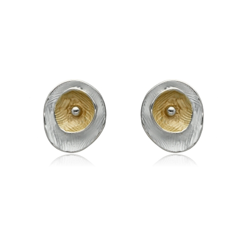 Picture of Kolczyki E96020